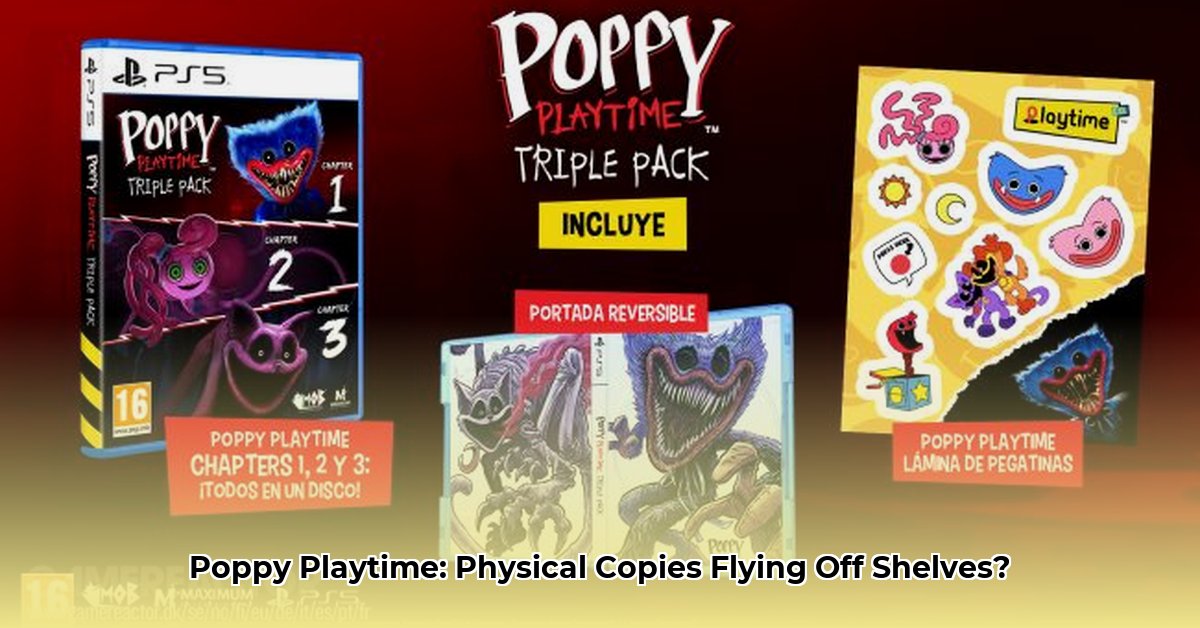 poppy-playtime-physical-copy